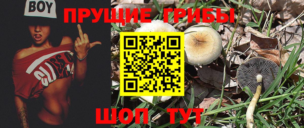Галлюциногенные грибы ЛСД  Вход с VPN  Ликино-Дулёво 