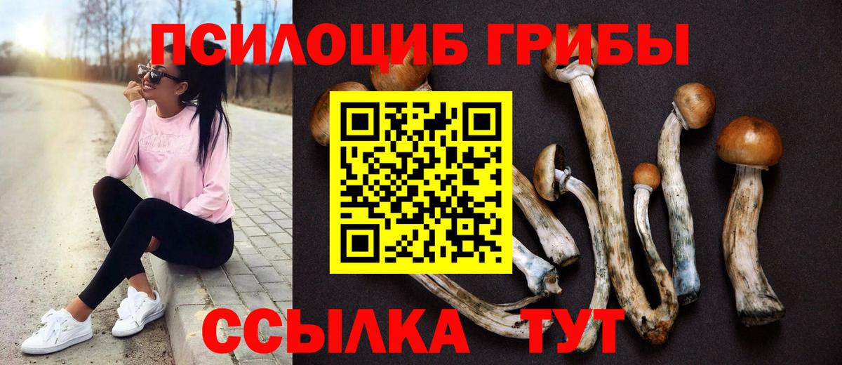 Псилоцибиновые грибы прущие грибы Ликино-Дулёво